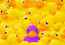 duck purple in yellow tight Shutterstock 252819673